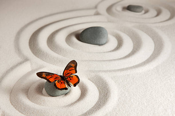 Sand background with stones and butterfly