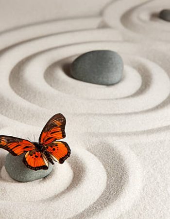 Sand background with stones and butterfly Sand background with stones and butterfly